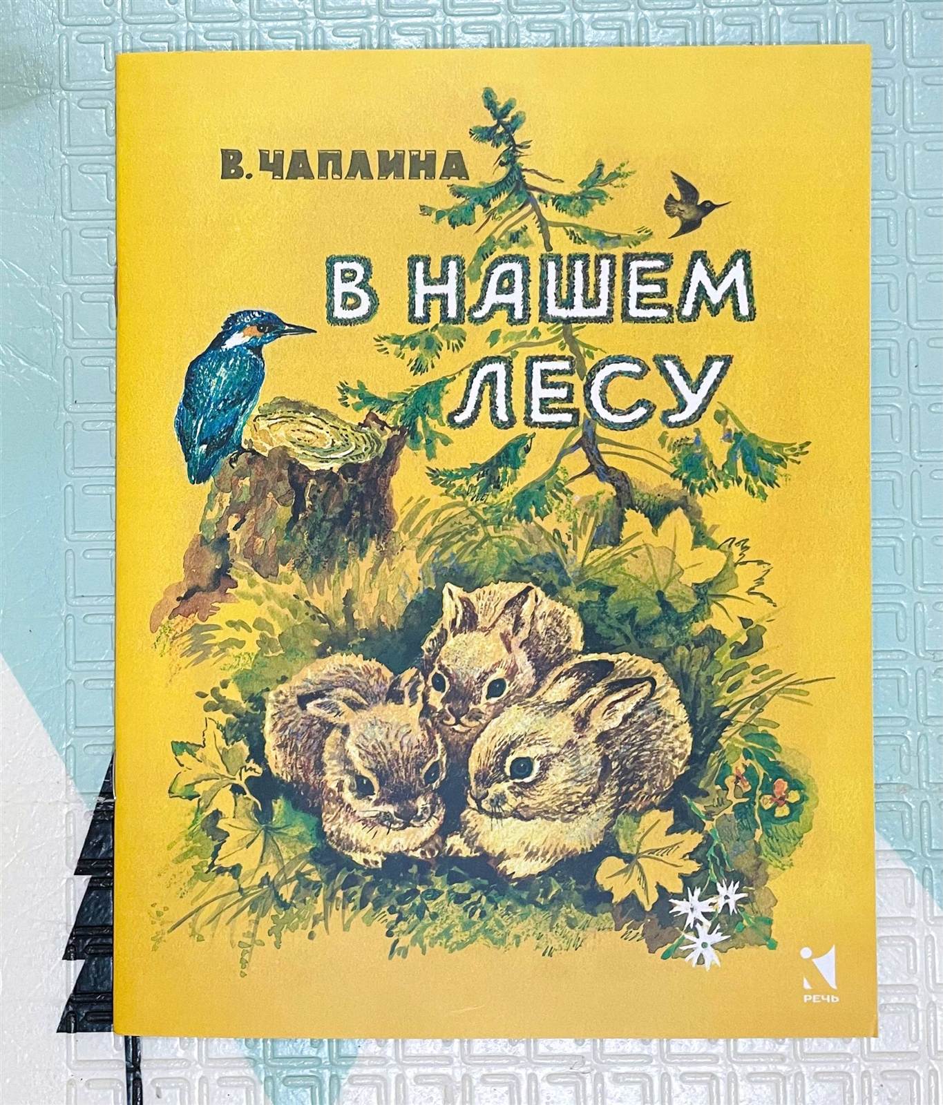 В НАШЕМ ЛЕСУ