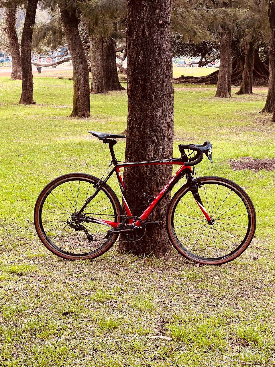 Specialized Crux Expert