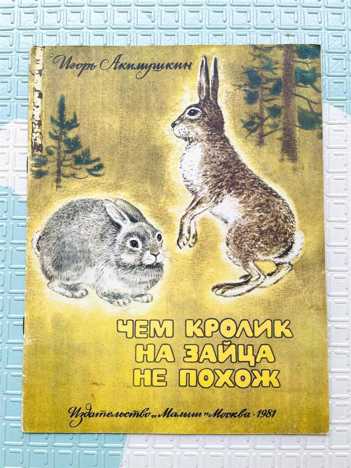 ЧЕМ КРОЛИК НА ЗАЙЦА НЕ ПОХОЖ